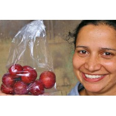 FORTUNE PLUMS (YELLOW FLESH) 500 Gram Bag HAWKES BAY Grown